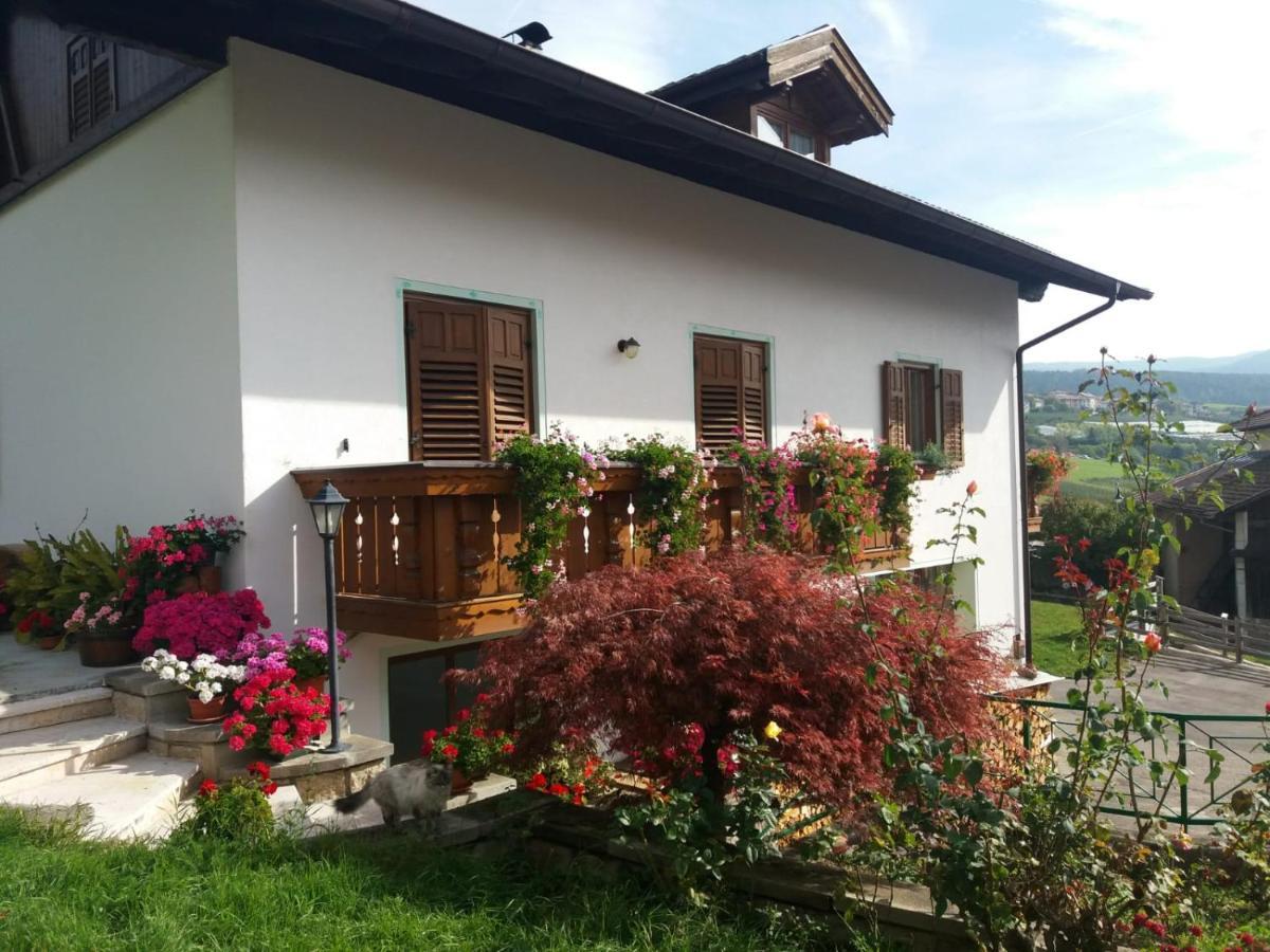 Appartamento Cologna Castelfondo Екстер'єр фото