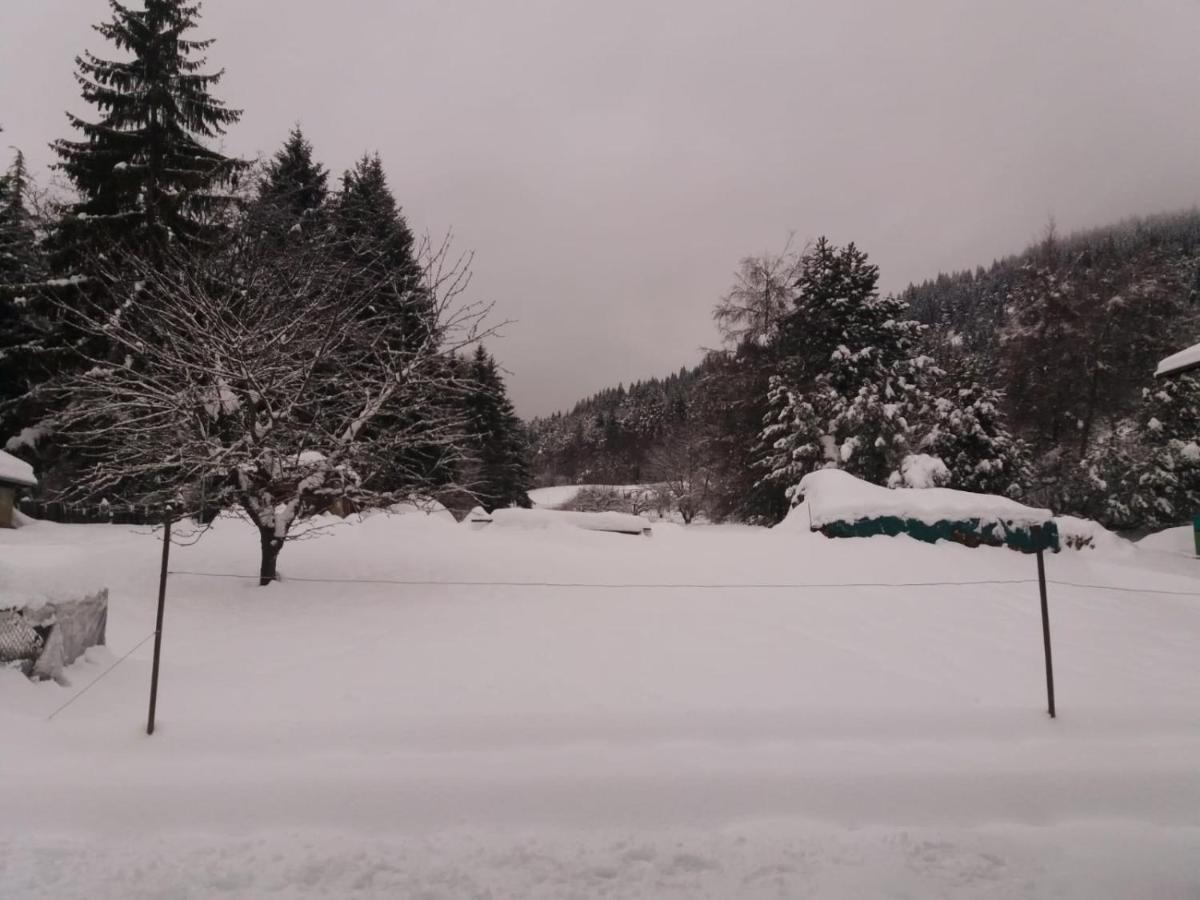 Appartamento Cologna Castelfondo Екстер'єр фото